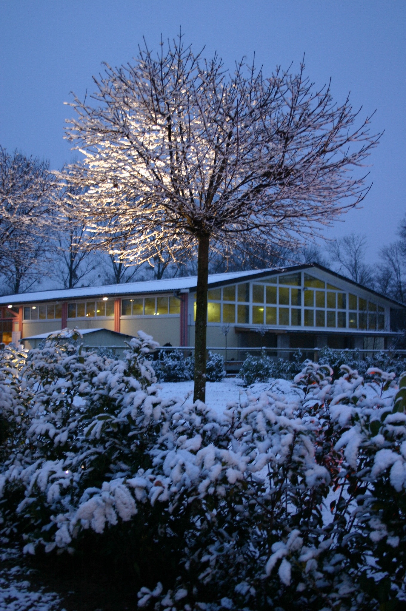 Winter auf dem Kaiserhof